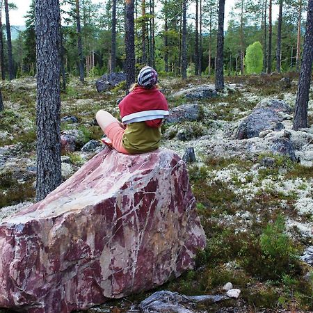 14 - Fulufjellets Nasjonalparker - Natur-, Dyre- Og Fugleopplevelser Trysil Exteriör bild