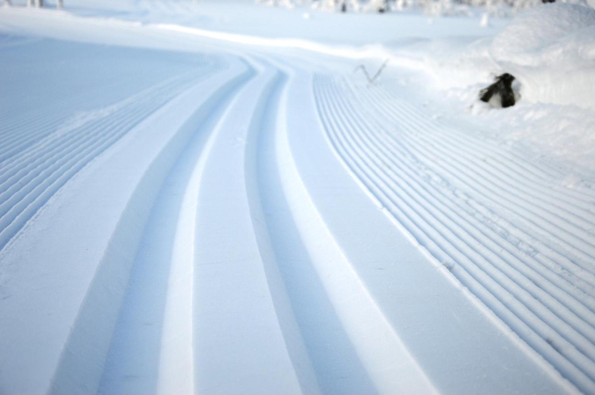 14 - Fulufjellets Nasjonalparker - Natur-, Dyre- Og Fugleopplevelser Trysil Exteriör bild