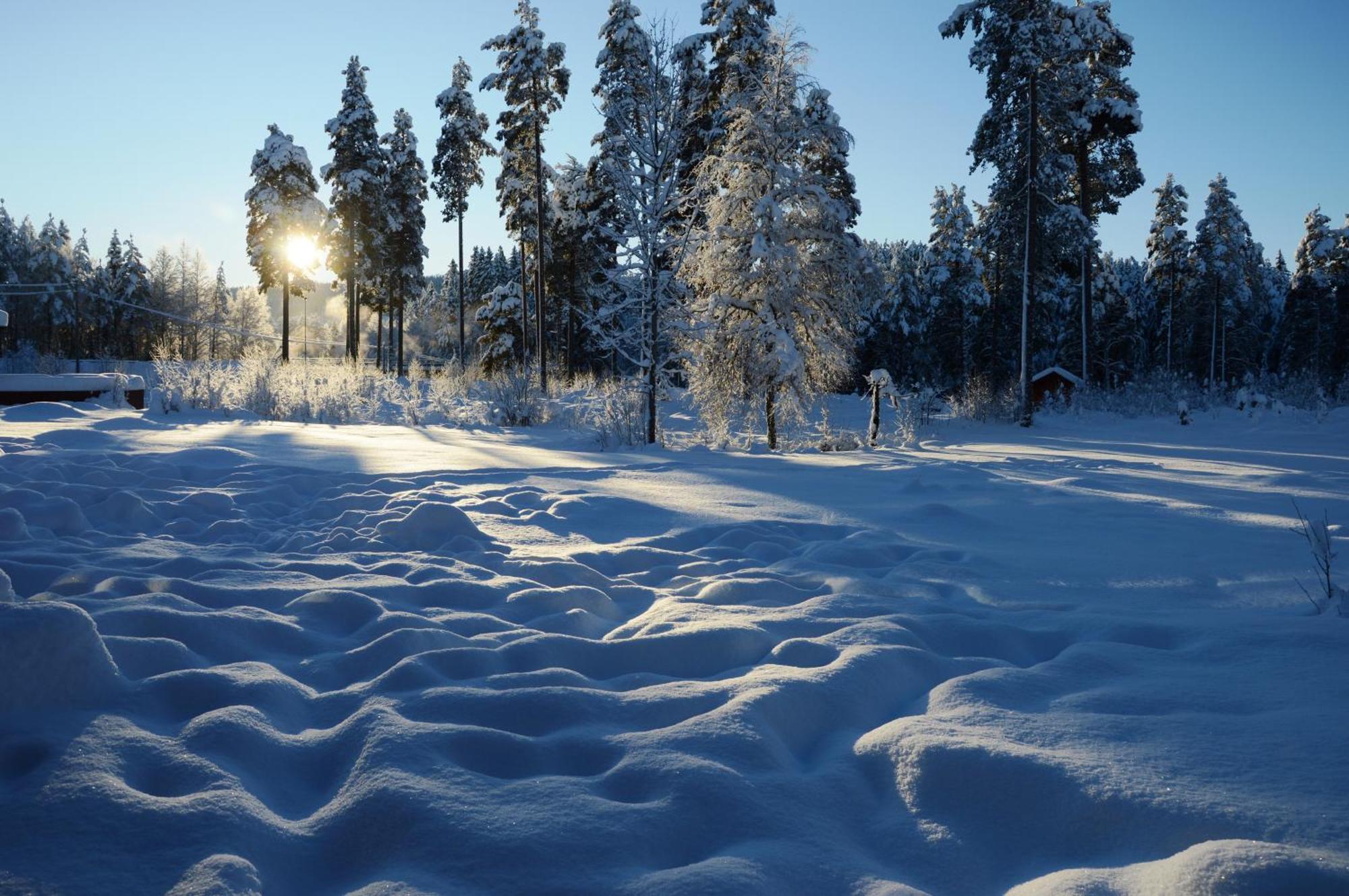 14 - Fulufjellets Nasjonalparker - Natur-, Dyre- Og Fugleopplevelser Trysil Exteriör bild