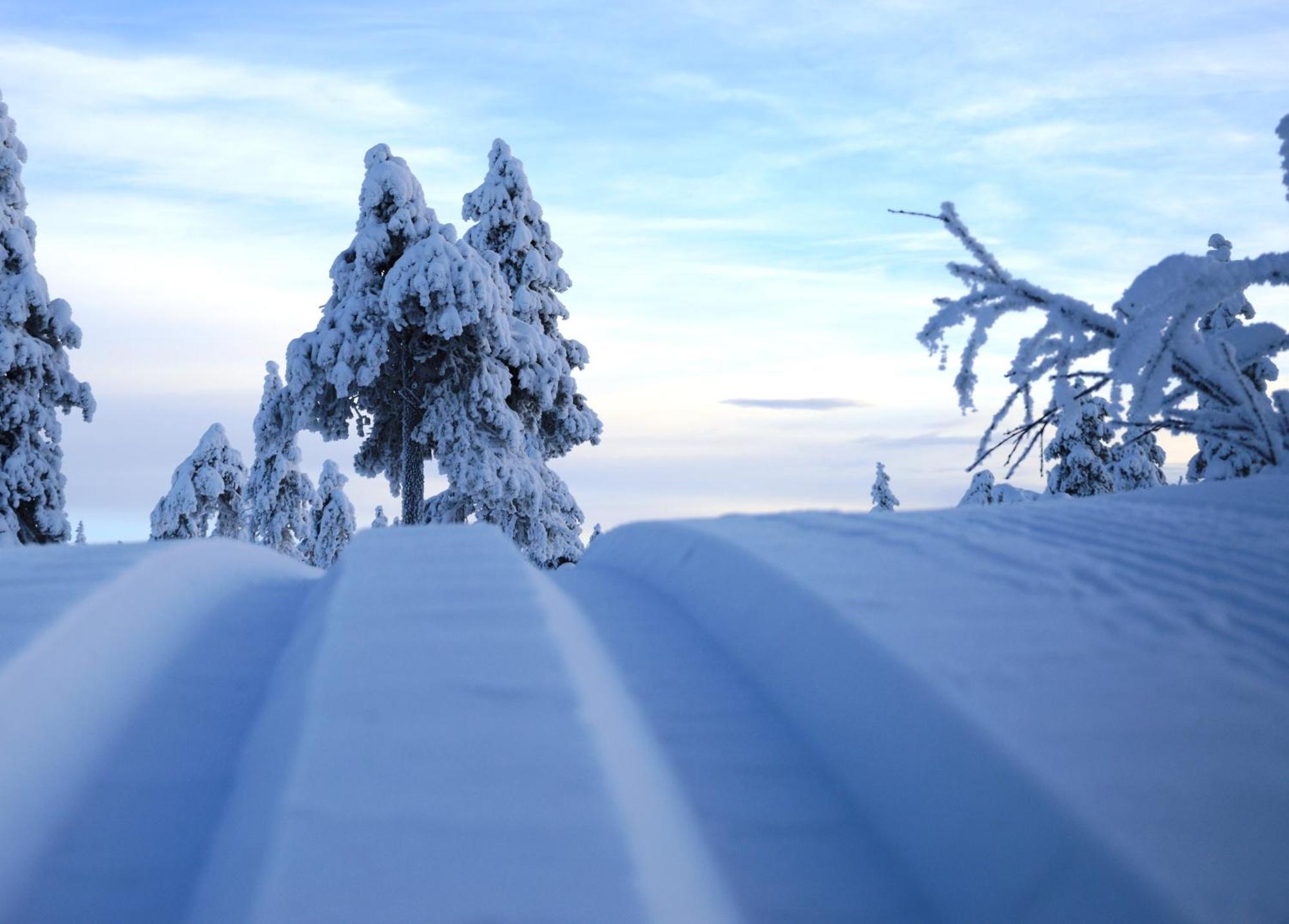 14 - Fulufjellets Nasjonalparker - Natur-, Dyre- Og Fugleopplevelser Trysil Exteriör bild