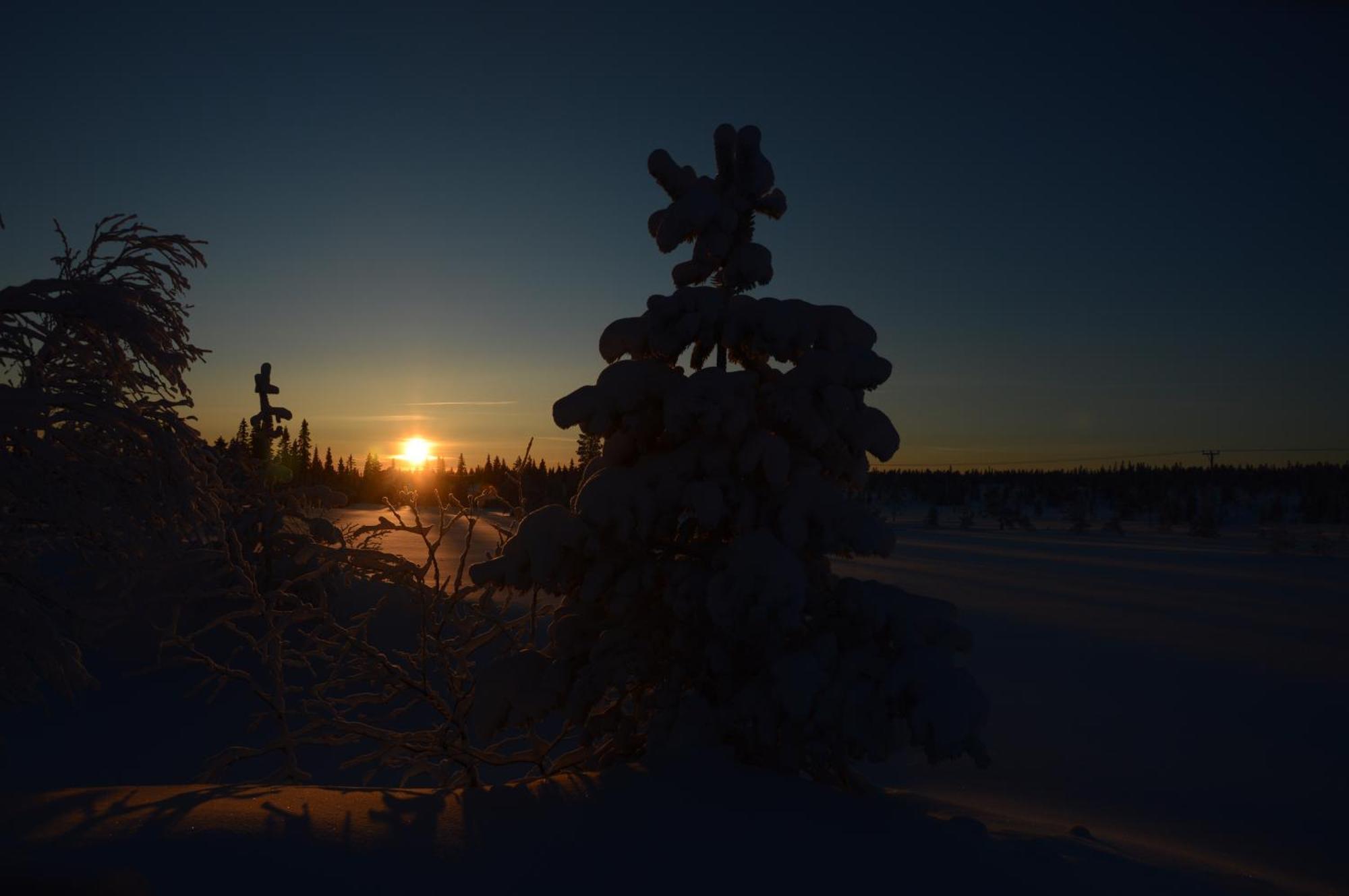 14 - Fulufjellets Nasjonalparker - Natur-, Dyre- Og Fugleopplevelser Trysil Exteriör bild