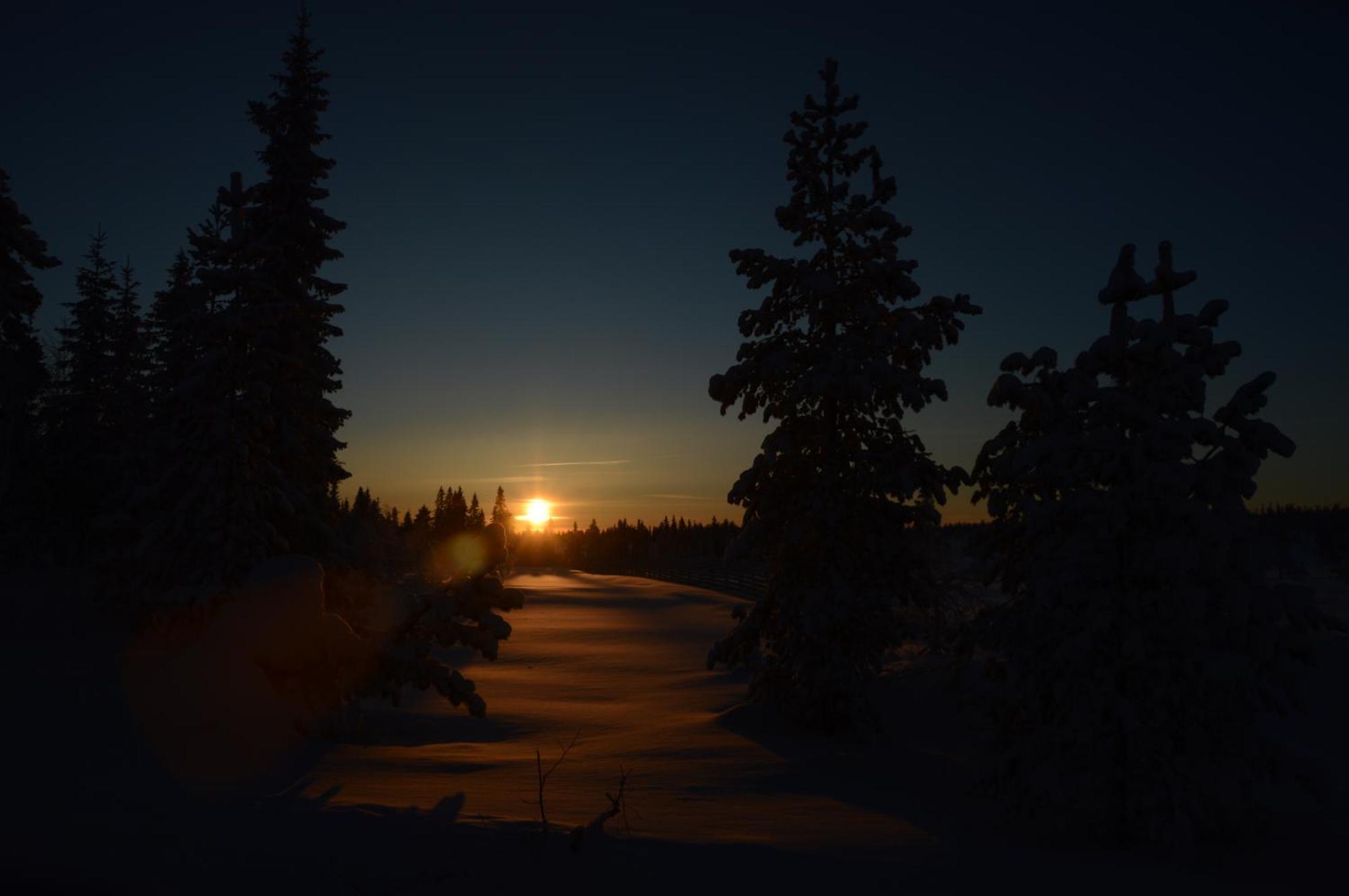 14 - Fulufjellets Nasjonalparker - Natur-, Dyre- Og Fugleopplevelser Trysil Exteriör bild