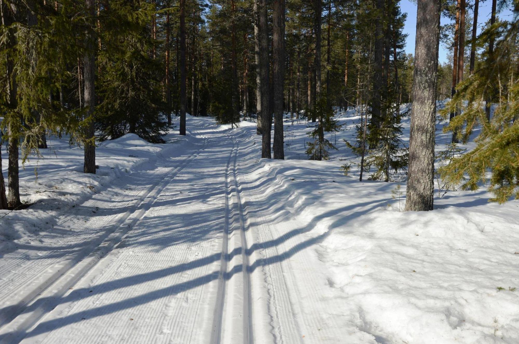 14 - Fulufjellets Nasjonalparker - Natur-, Dyre- Og Fugleopplevelser Trysil Exteriör bild