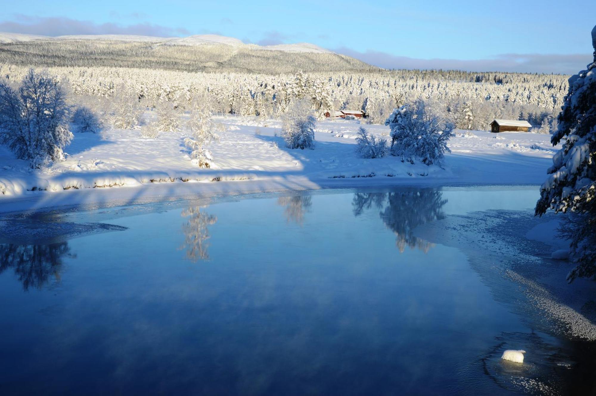 14 - Fulufjellets Nasjonalparker - Natur-, Dyre- Og Fugleopplevelser Trysil Exteriör bild