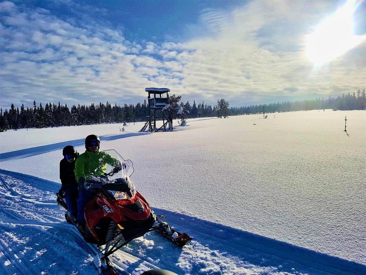 14 - Fulufjellets Nasjonalparker - Natur-, Dyre- Og Fugleopplevelser Trysil Exteriör bild