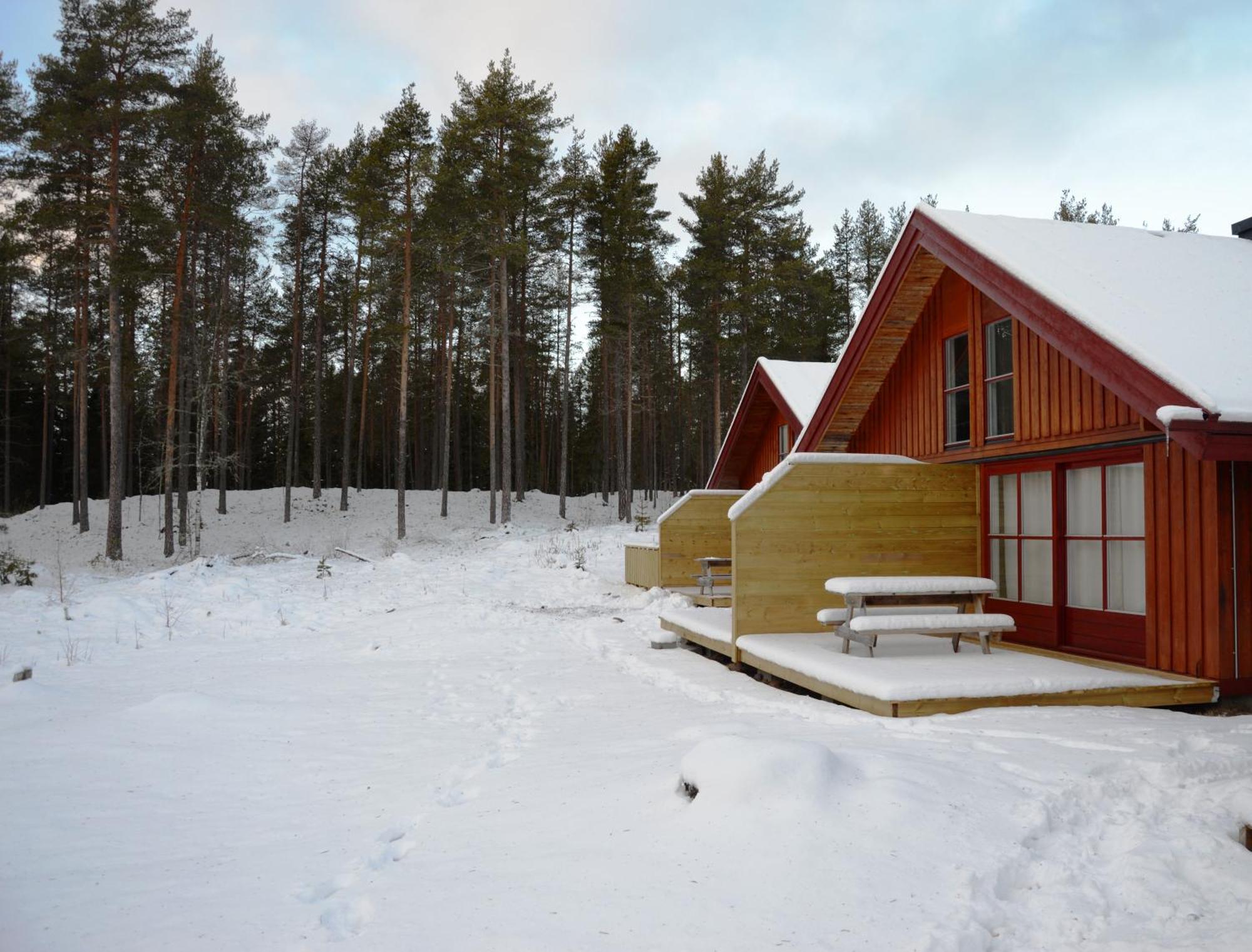 14 - Fulufjellets Nasjonalparker - Natur-, Dyre- Og Fugleopplevelser Trysil Exteriör bild