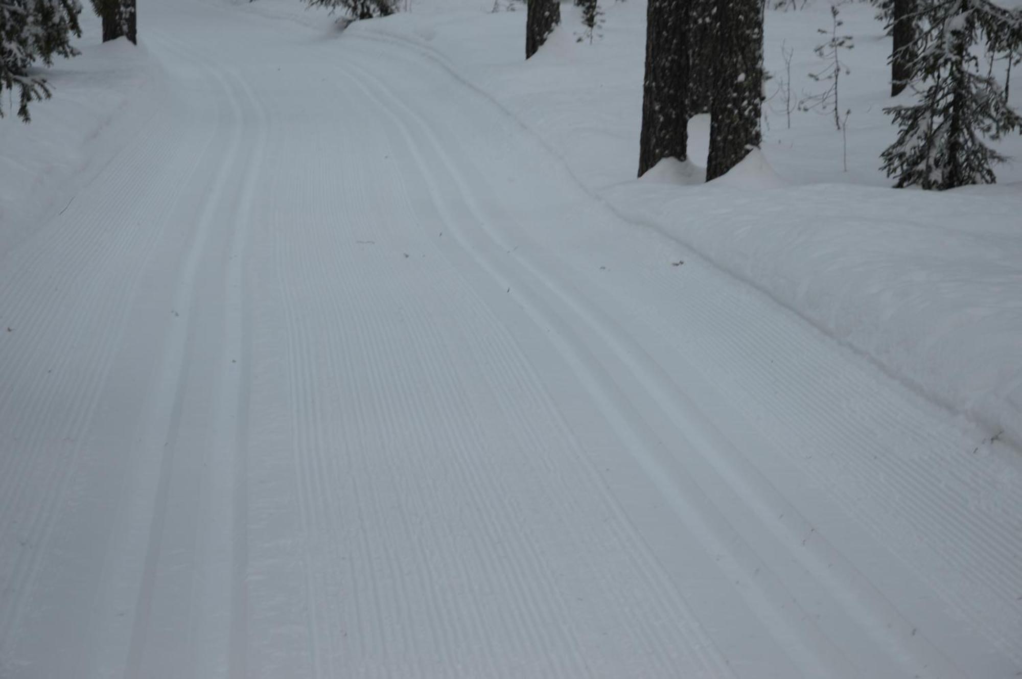 14 - Fulufjellets Nasjonalparker - Natur-, Dyre- Og Fugleopplevelser Trysil Exteriör bild