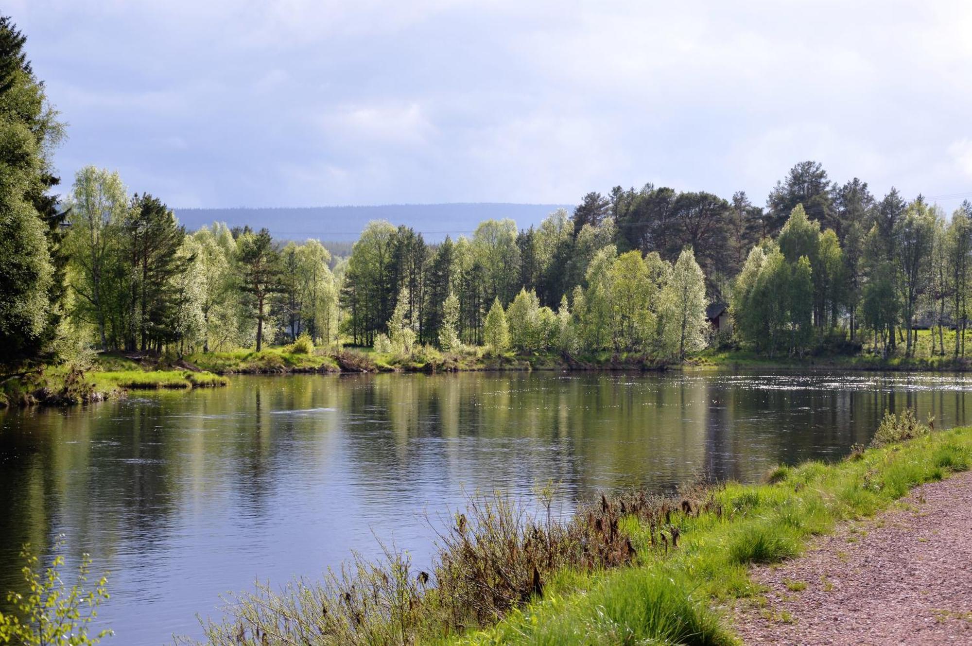 14 - Fulufjellets Nasjonalparker - Natur-, Dyre- Og Fugleopplevelser Trysil Exteriör bild
