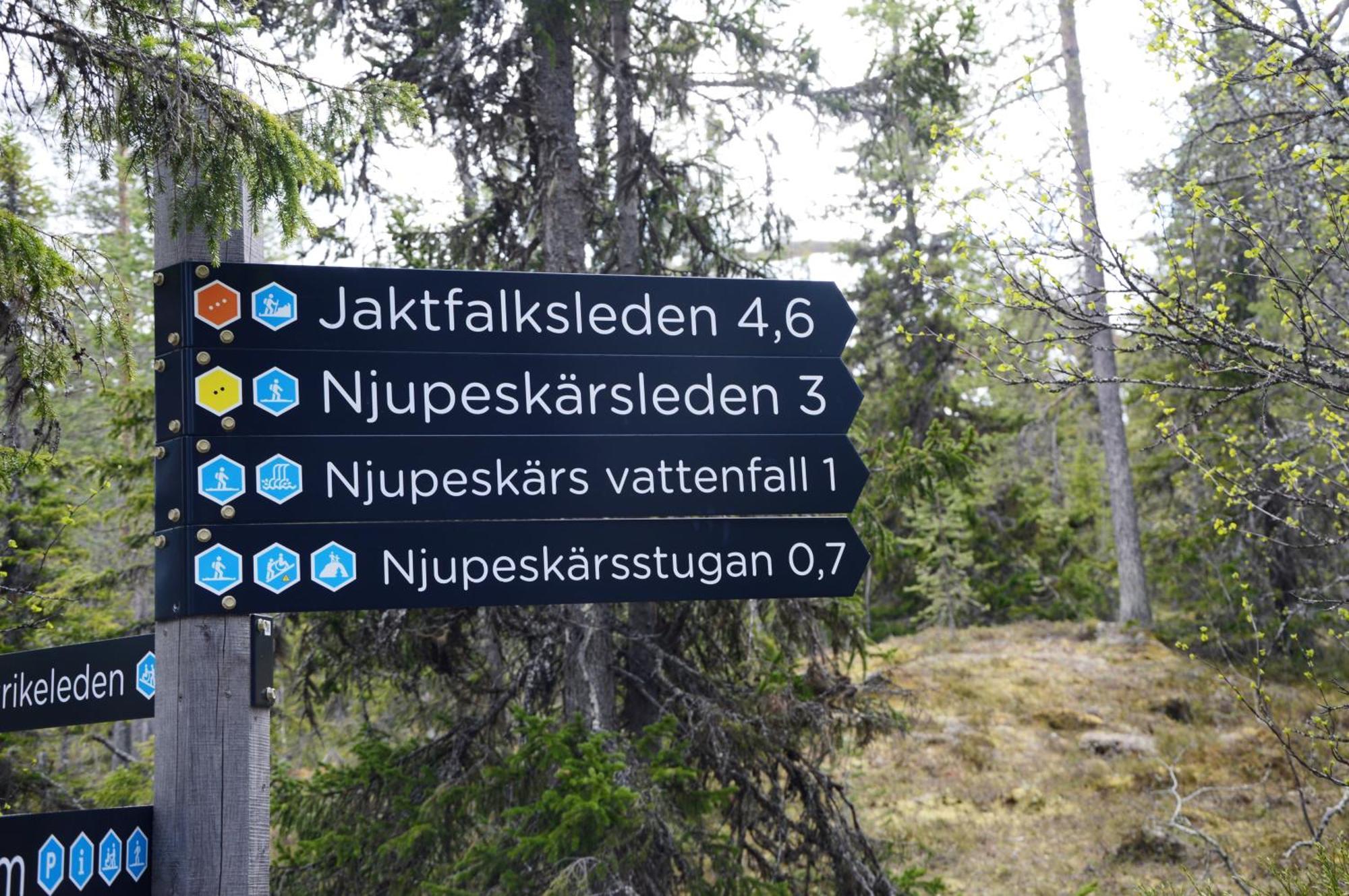 14 - Fulufjellets Nasjonalparker - Natur-, Dyre- Og Fugleopplevelser Trysil Exteriör bild