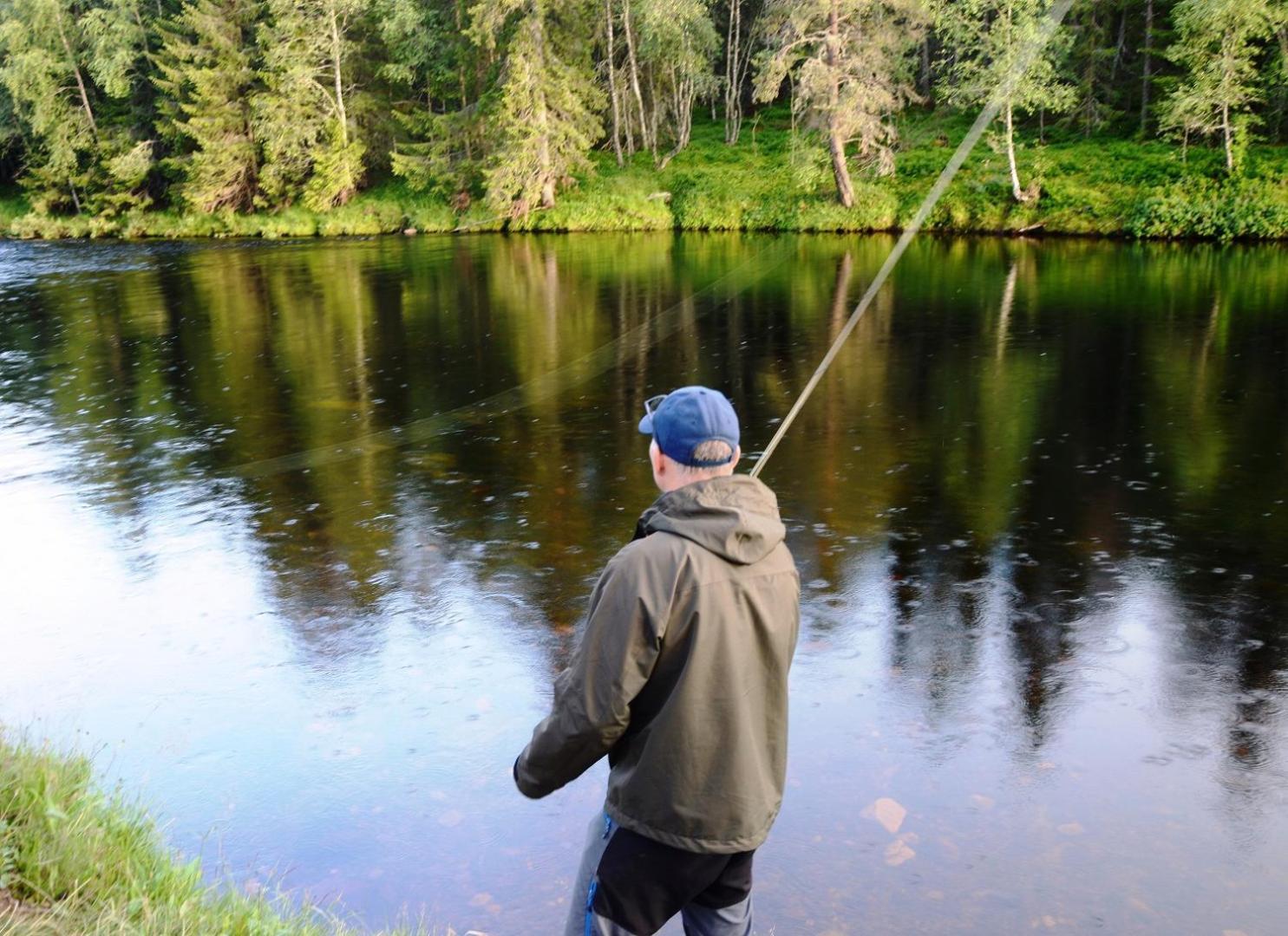 14 - Fulufjellets Nasjonalparker - Natur-, Dyre- Og Fugleopplevelser Trysil Exteriör bild