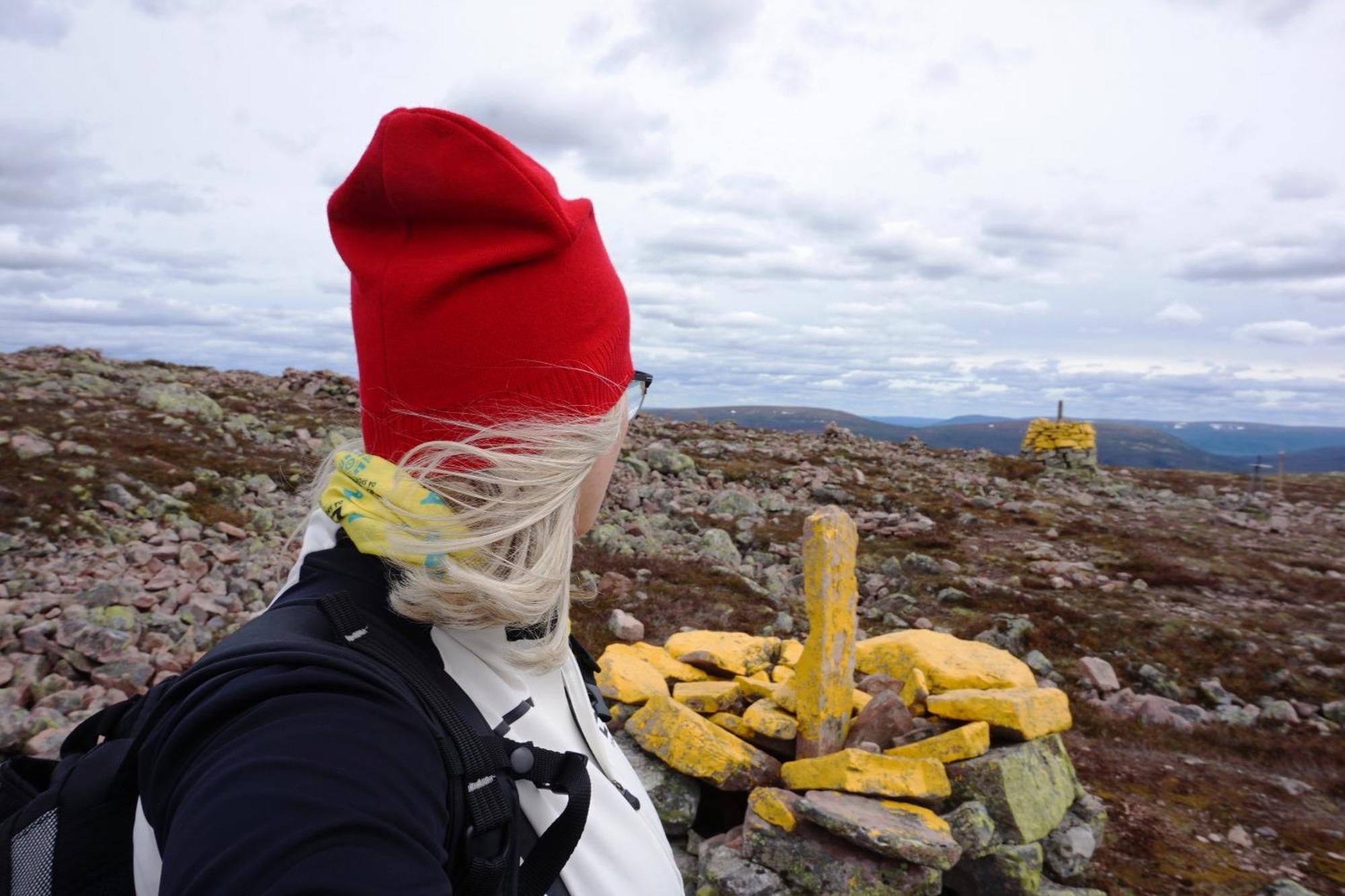 14 - Fulufjellets Nasjonalparker - Natur-, Dyre- Og Fugleopplevelser Trysil Exteriör bild