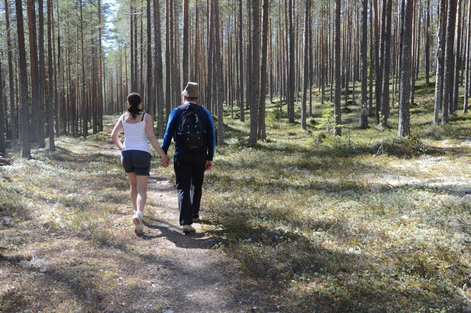 14 - Fulufjellets Nasjonalparker - Natur-, Dyre- Og Fugleopplevelser Trysil Exteriör bild