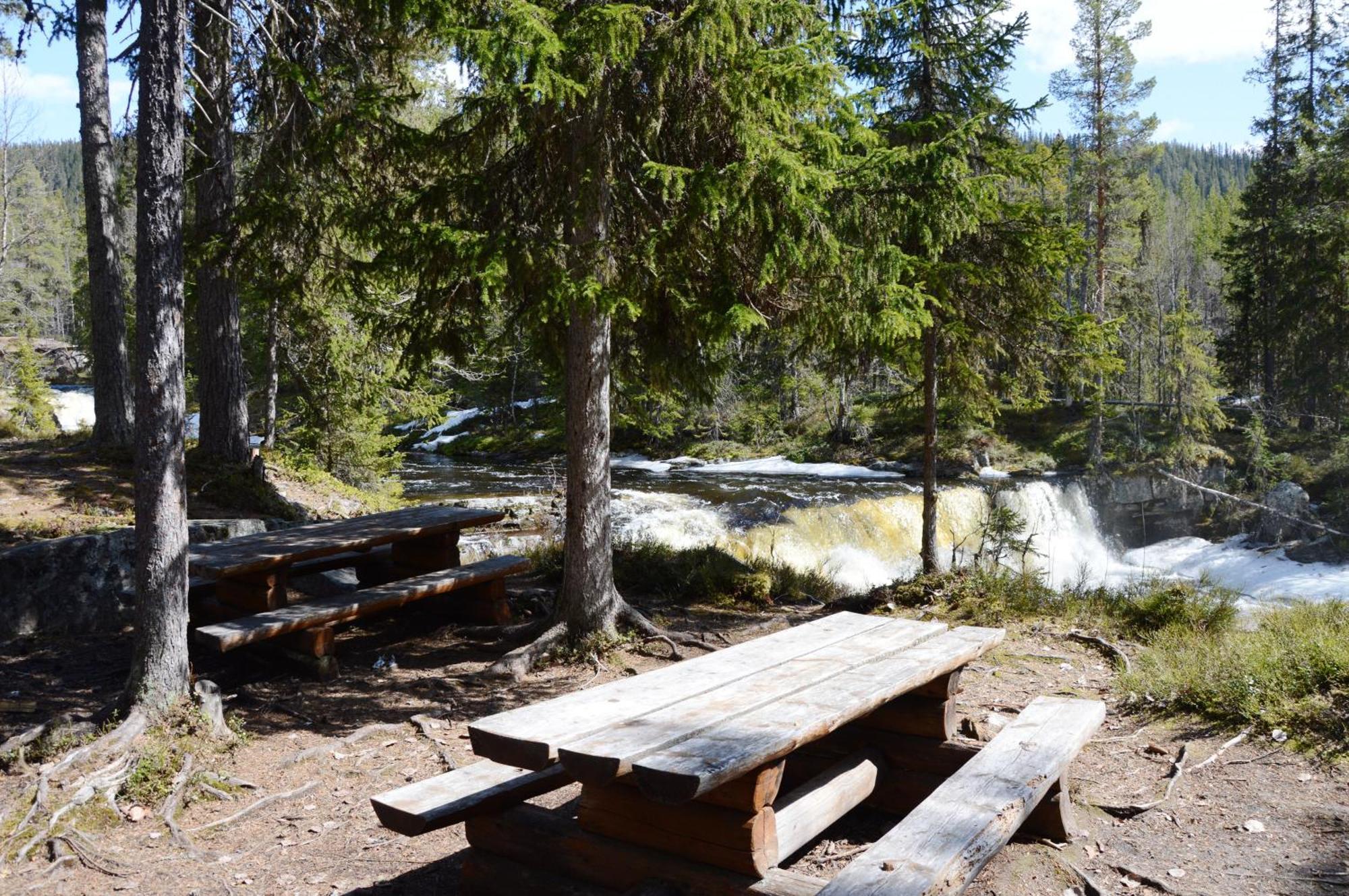 14 - Fulufjellets Nasjonalparker - Natur-, Dyre- Og Fugleopplevelser Trysil Exteriör bild