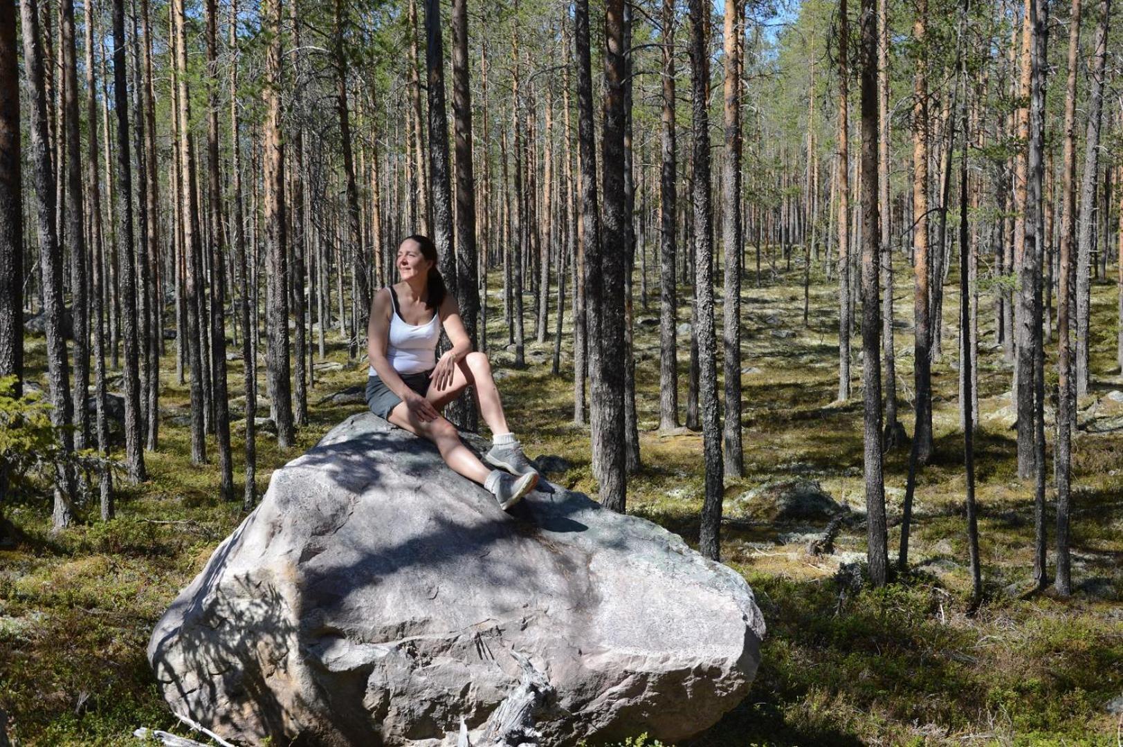 14 - Fulufjellets Nasjonalparker - Natur-, Dyre- Og Fugleopplevelser Trysil Exteriör bild