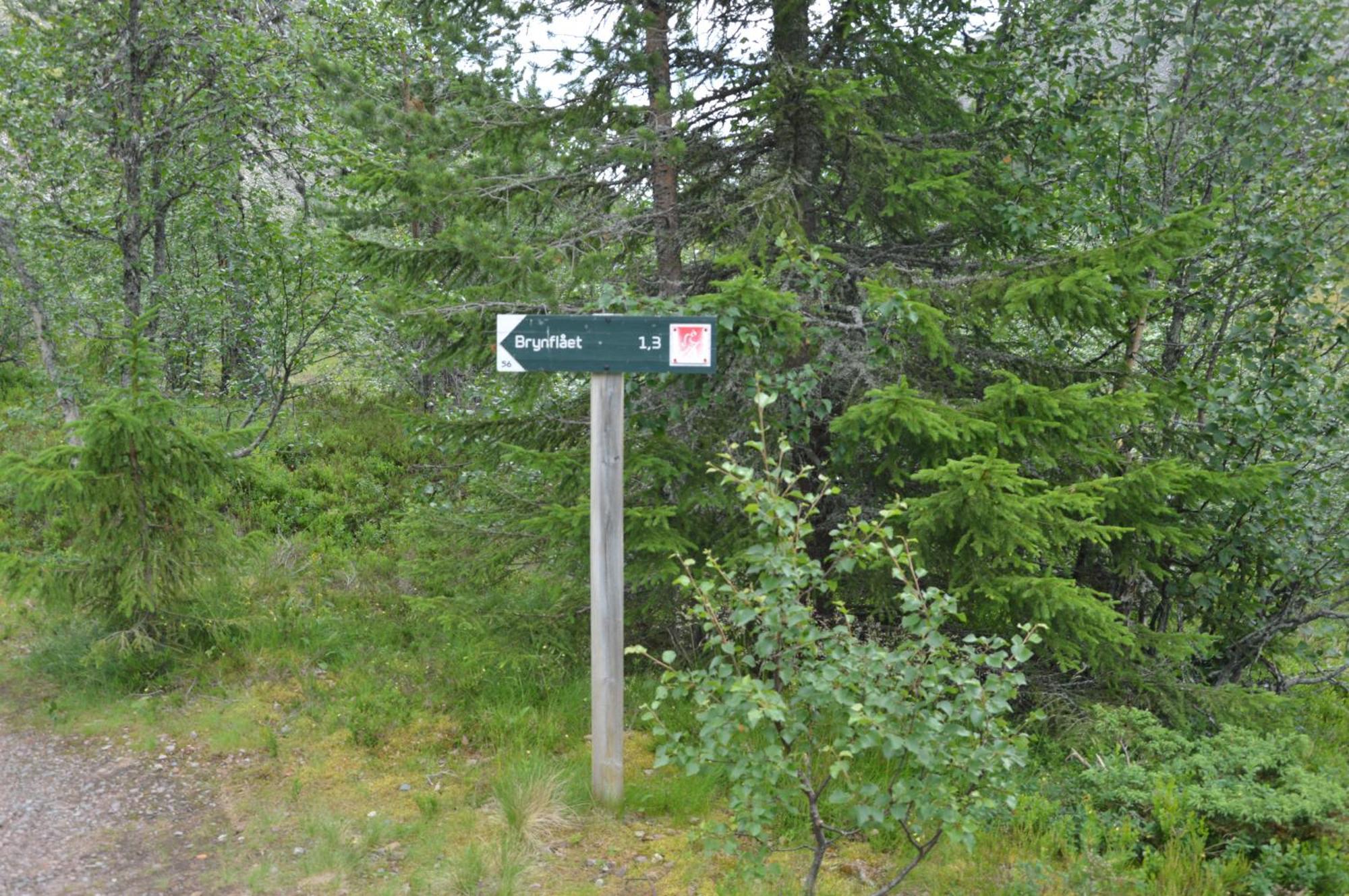 14 - Fulufjellets Nasjonalparker - Natur-, Dyre- Og Fugleopplevelser Trysil Exteriör bild