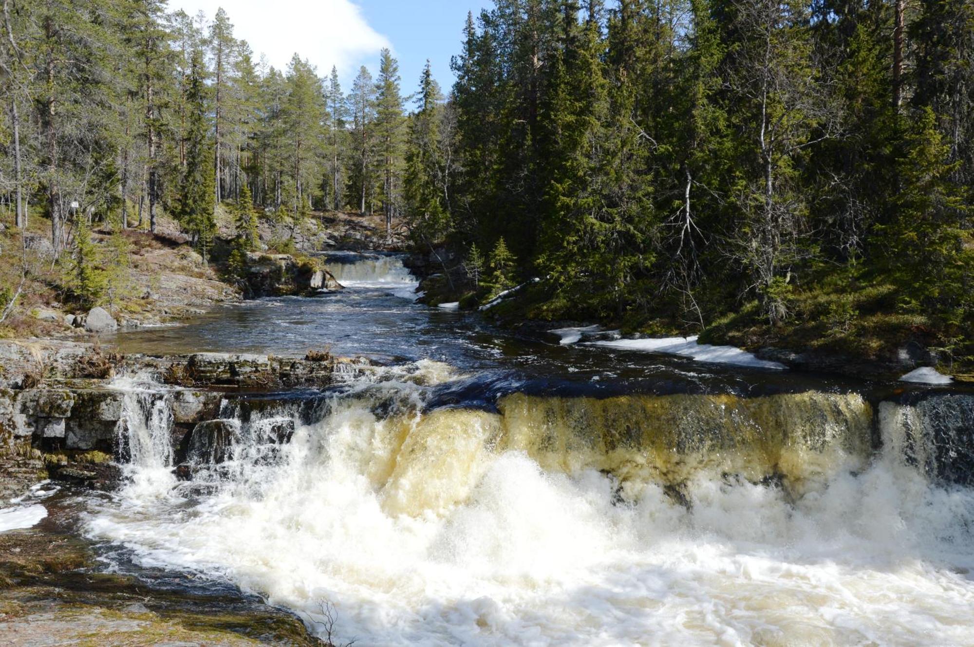 14 - Fulufjellets Nasjonalparker - Natur-, Dyre- Og Fugleopplevelser Trysil Exteriör bild