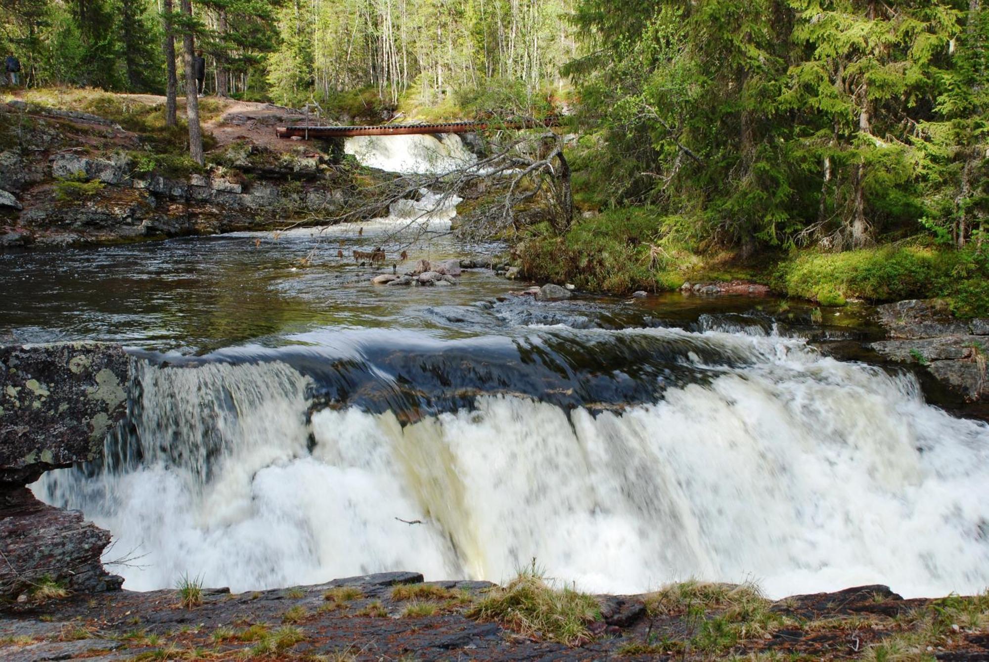 14 - Fulufjellets Nasjonalparker - Natur-, Dyre- Og Fugleopplevelser Trysil Exteriör bild