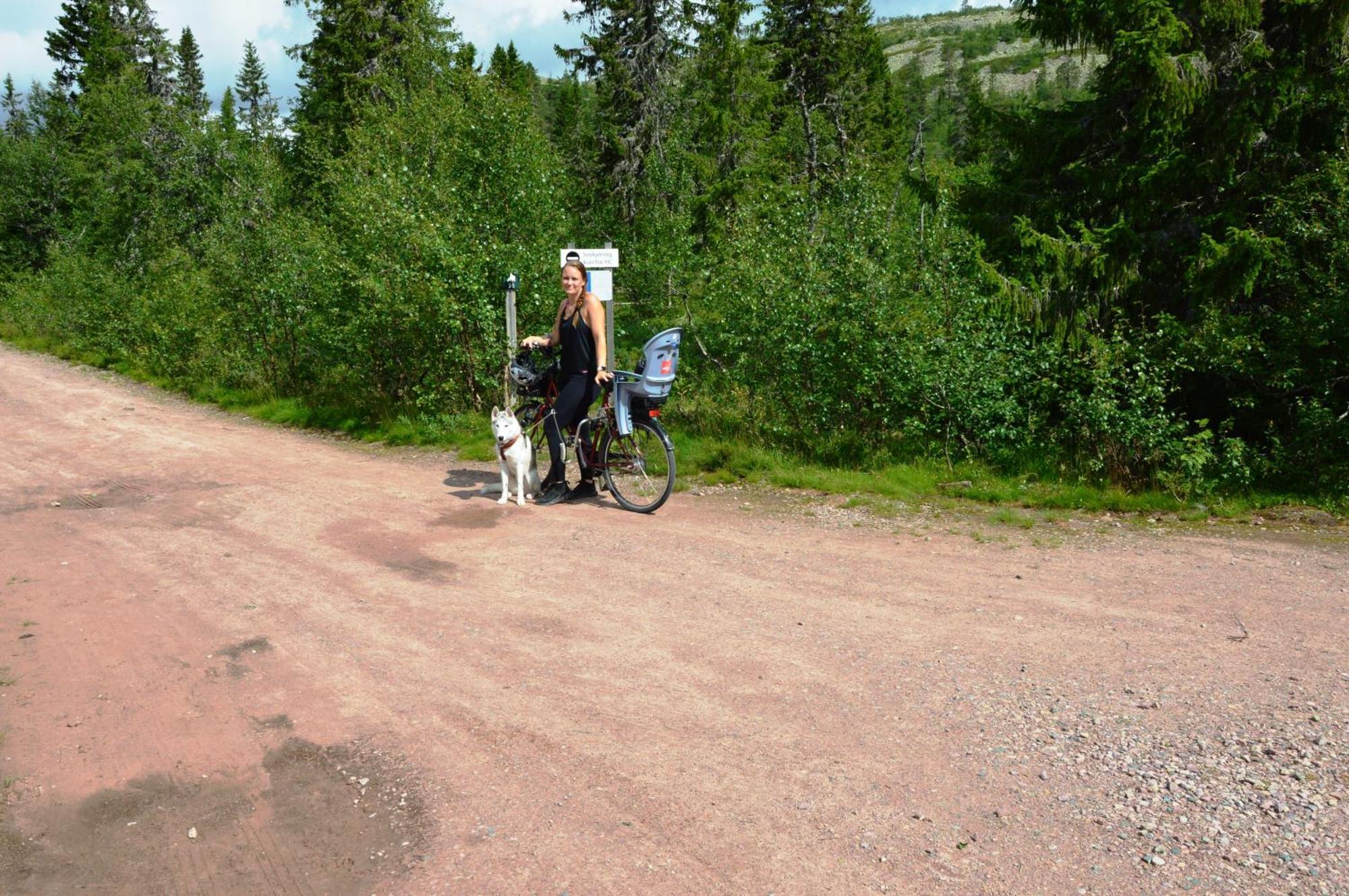 14 - Fulufjellets Nasjonalparker - Natur-, Dyre- Og Fugleopplevelser Trysil Exteriör bild